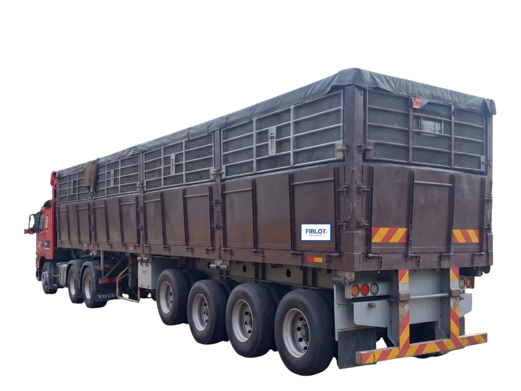Heavy-Duty FFB Cargo Lorry